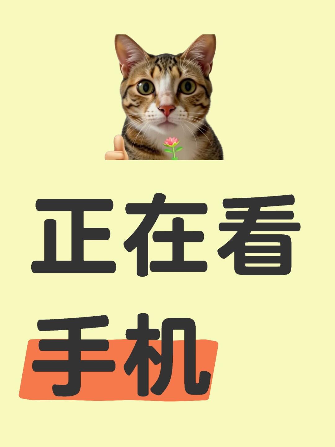 用来看电子书安卓手机版(用来看电子书安卓手机版的app)-第2张图片-QuickQ官网