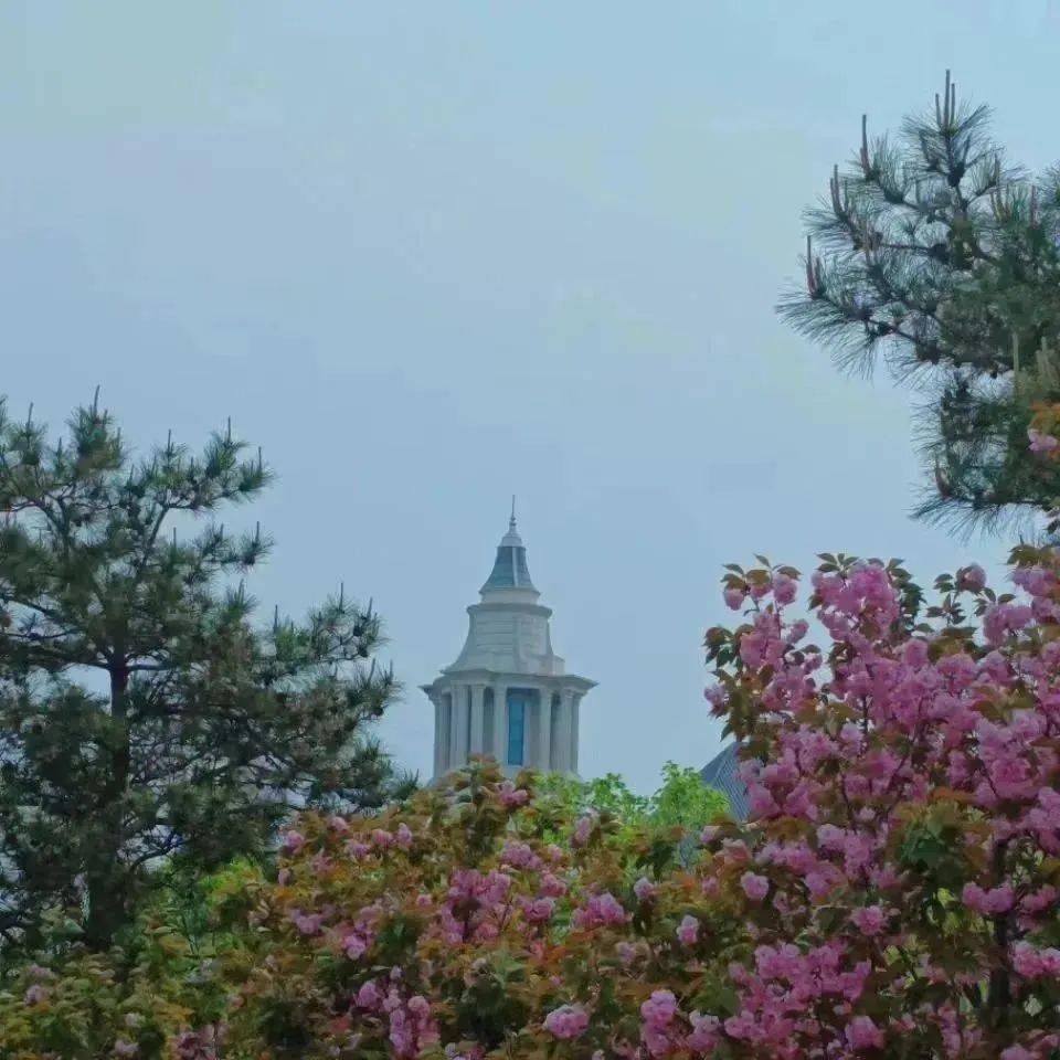 新疆世纪矩阵手机版(新疆世纪新网网络有限公司)-第5张图片-QuickQ官网