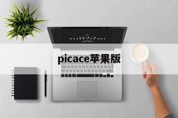 picace苹果版(picacgiphone下载)