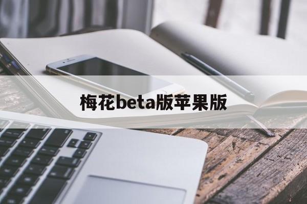 梅花beta版苹果版(梅花420apk)-第2张图片-QuickQ官网