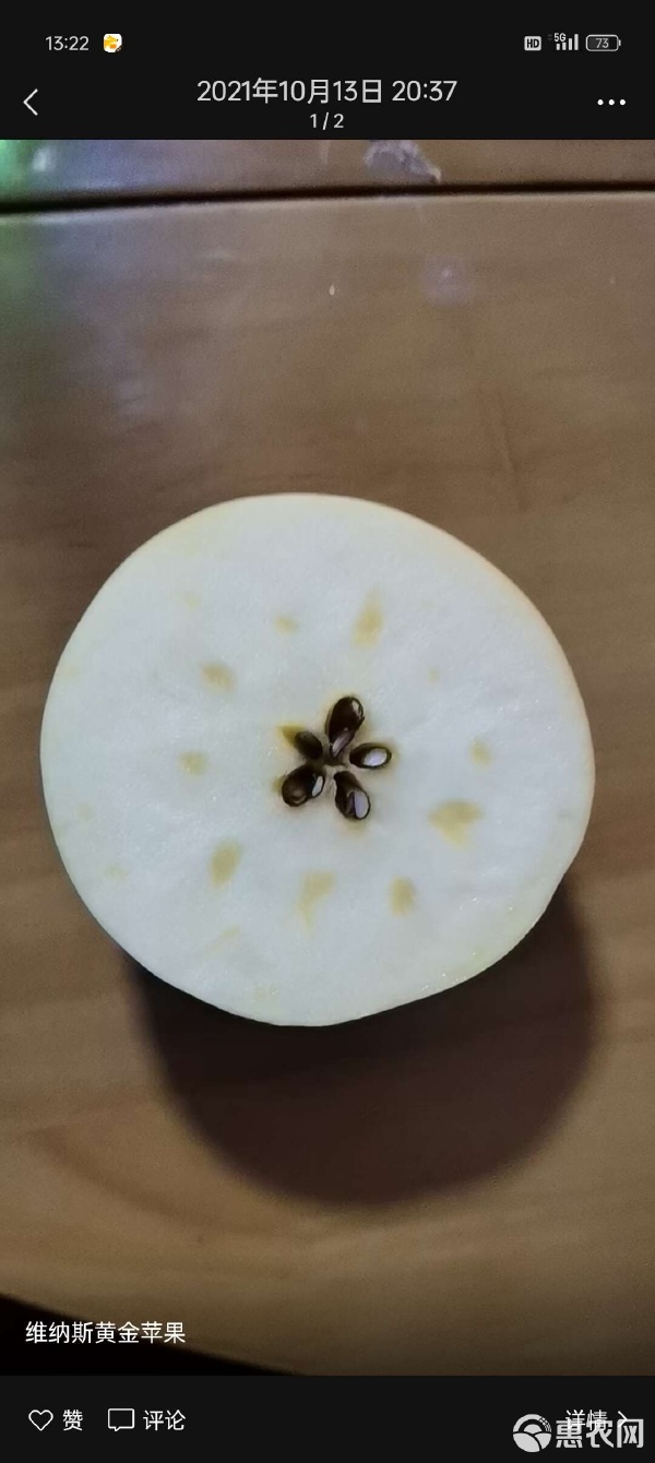 苹果新疆版(新疆苹果新品种有哪些)-第3张图片-QuickQ官网 苹果新疆版(新疆苹果新品种有哪些)-第3张图片-QuickQ官网