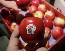 iseeker苹果版(quickrun下载苹果版)-第5张图片-QuickQ官网